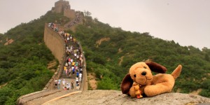 Beitragsbild des Blogbeitrags Die Top 5 der am häufigsten vergessenen Gegenstände im Urlaub