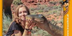 Beitragsbild des Blogbeitrags Video West Amerika mit Kinder