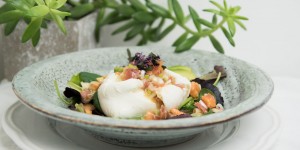 Beitragsbild des Blogbeitrags Büffelmozzarella mit Papaya-Parma Dressing 