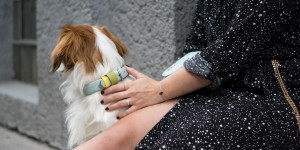 Beitragsbild des Blogbeitrags #ootw: Ringparty* und Bauchtasche