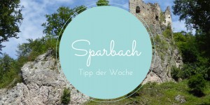Beitragsbild des Blogbeitrags Naturpark Sparbach 