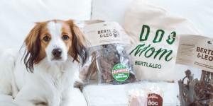 Beitragsbild des Blogbeitrags Knut testet: Kauartikel von Bertl & Leo