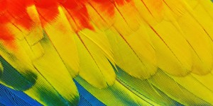 Beitragsbild des Blogbeitrags Das sind die Trendfarben 2019 und so trägst Du sie 