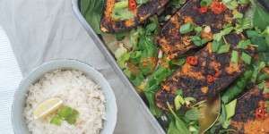 Beitragsbild des Blogbeitrags Miso Aubergine aus dem Backofen