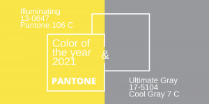 Beitragsbild des Blogbeitrags Pantone Farbe des Jahres 2021 