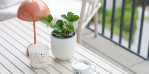 Beitragsbild des Blogbeitrags Frühlings-Hygge: 6 Tipps für das Frühlingsgefühl Zuhause