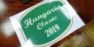 Beitragsbild des Blogbeitrags Team Austria führt in Ungarn!!!