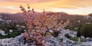 Beitragsbild des Blogbeitrags Sommertour 2024 – Etappe 4 