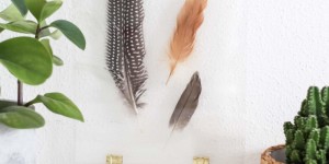 Beitragsbild des Blogbeitrags DIY Bilderrahmen mit gepressten Blüten, Blättern oder Federn