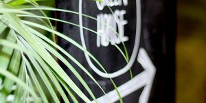Beitragsbild des Blogbeitrags Graz Tipp: Ginko Greenhouse