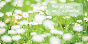 Beitragsbild des Blogbeitrags Weniger Stress mehr Gelassenheit