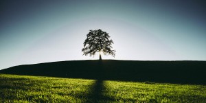 Beitragsbild des Blogbeitrags Verzichte und rette die Welt!