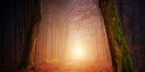 Beitragsbild des Blogbeitrags Der ungleiche Kampf gegen die Ungewissheit