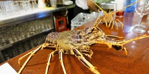 Beitragsbild des Blogbeitrags Fornells / Menorca - Wo Langusten am Tresen spazieren gehen