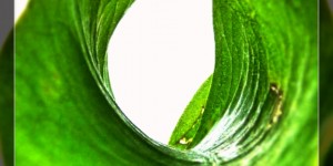 Beitragsbild des Blogbeitrags Manchmal fehlt der Durchblick – ändern wir die Perspektive 