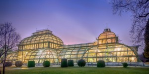 Beitragsbild des Blogbeitrags Palmenhaus Schönbrunn bei Nacht!