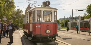 Beitragsbild des Blogbeitrags 1. Wiener Walzer Bim