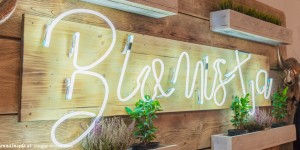 Beitragsbild des Blogbeitrags Bionista – Fresh food statt Fastfood