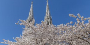 Beitragsbild des Blogbeitrags Wohin in Wien – Veranstaltungstipps 05.04. – 12.04.2018