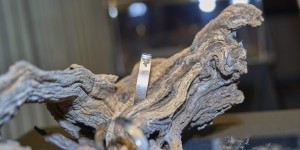 Beitragsbild des Blogbeitrags Elkana Meteoritenschmuck Ausstellung in Wien