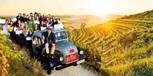 Beitragsbild des Blogbeitrags Tour de Vin durch 31 Österreichische Traditionsweingüter 