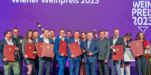Beitragsbild des Blogbeitrags Wiener Weinpreis 2023 – die Siegerweine 