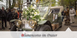 Beitragsbild des Blogbeitrags Das war der 250 Jahre Prater Wien – Blumencorso