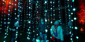 Beitragsbild des Blogbeitrags Weihnachtliche Lichtershows in Wien und Umgebung