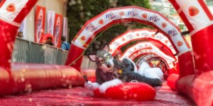 Beitragsbild des Blogbeitrags Fru Fru Rutschpartie – 300m knallroter Rutschspaß