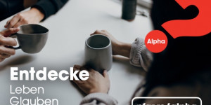 Beitragsbild des Blogbeitrags Neuer Alpha in Asten!
