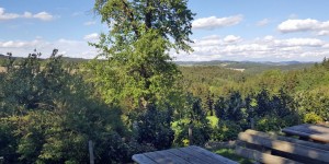 Beitragsbild des Blogbeitrags Meine liebsten Heurigen in Linz und Umgebung