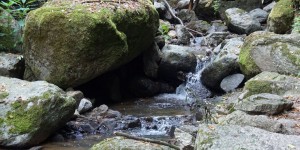 Beitragsbild des Blogbeitrags Wandertipp: Zum Kerzenstein durchs Pesenbachtal 