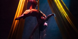 Beitragsbild des Blogbeitrags Exploring Identities – a circus show 