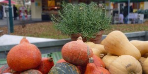 Beitragsbild des Blogbeitrags Linzer Lieblingsplätze #2: Südbahnhofmarkt