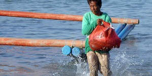 Beitragsbild des Blogbeitrags Bali: der Fischmarkt in Jimbaran