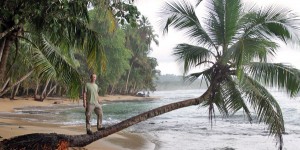Beitragsbild des Blogbeitrags Costa Rica: Namuwoki Lodge und die Strände