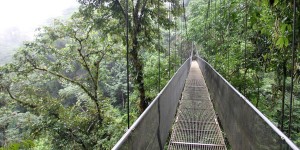 Beitragsbild des Blogbeitrags Costa Rica: Mistico Arenal Hanging Bridges Park 