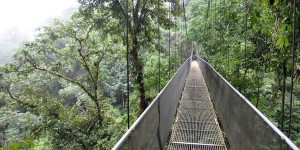 Beitragsbild des Blogbeitrags Costa Rica: Mistico Arenal Hanging Bridges Park