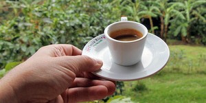Beitragsbild des Blogbeitrags Costa Rica: Kaffeetour bei Don Juan in Monteverde 