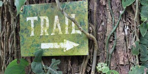 Beitragsbild des Blogbeitrags Costa Rica: Spurensuche im Nationalpark Piedras Blancas