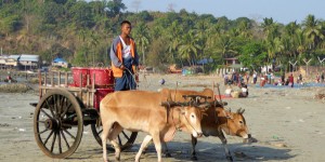 Beitragsbild des Blogbeitrags Myanmar – Fischer am Ngapali Strand und Lontha 