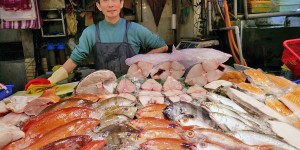 Beitragsbild des Blogbeitrags Taiwan: Shi-Dong Markt in Taipeh