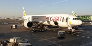 Beitragsbild des Blogbeitrags Mit Ethiopian Airlines nach Johannesburg, Südafrika (Werbung)