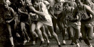 Beitragsbild des Blogbeitrags Welser Teamplayer Crosslauf 2016