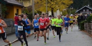 Beitragsbild des Blogbeitrags Herbstrosen-Trophy Lengau 2016