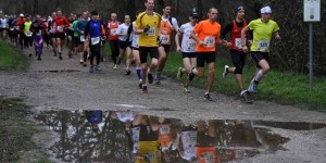 Beitragsbild des Blogbeitrags Deutsch-Wagramer Crosslauf 2016 