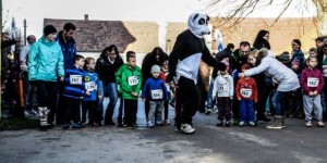 Beitragsbild des Blogbeitrags Stetteldorfer Silvesterlauf 2016