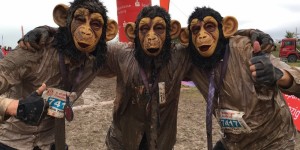 Beitragsbild des Blogbeitrags Ergebnisse Cross de Luxe Markkleeberg 2018 [+ Fotos] 