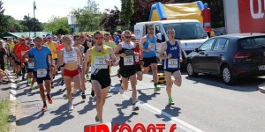 Beitragsbild des Blogbeitrags Fotos vom Heiligenkreuzer Wappenlauf 2019 online