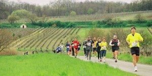 Beitragsbild des Blogbeitrags Jubiläum beim Mörbischer Lauftag 2020 